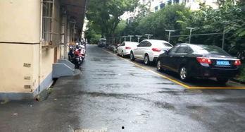 江南新村爆料视频大全最新,揭秘社区生活百态